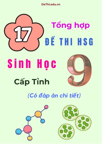 Tổng hợp 17 đề thi HSG Sinh học Lớp 9 cấp Tỉnh (Có đáp án chi tiết)